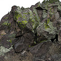 Cienega Petro Rock