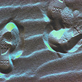 Footprints in the Sand