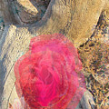Nature Erotica 2